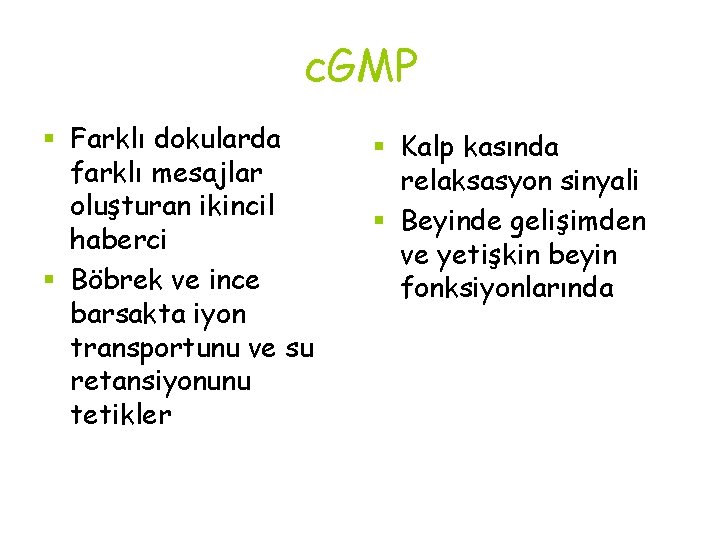 c. GMP § Farklı dokularda farklı mesajlar oluşturan ikincil haberci § Böbrek ve ince