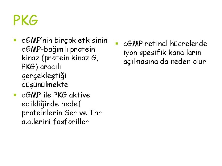 PKG § c. GMP’nin birçok etkisinin c. GMP-bağımlı protein kinaz (protein kinaz G, PKG)