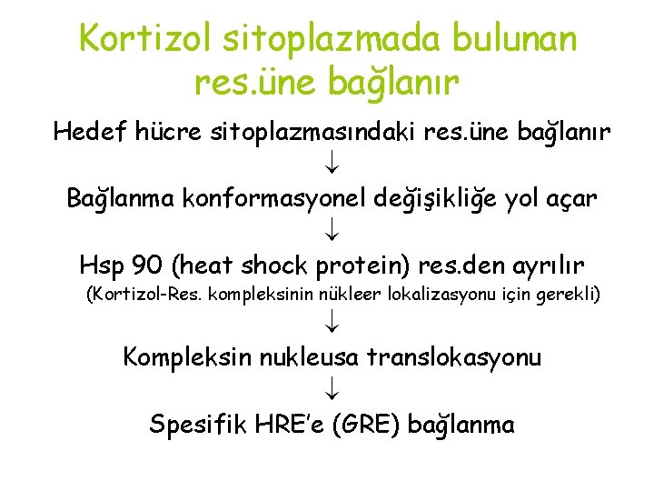 Kortizol sitoplazmada bulunan res. üne bağlanır Hedef hücre sitoplazmasındaki res. üne bağlanır Bağlanma konformasyonel