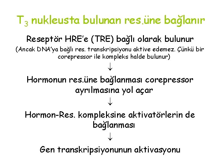 T 3 nukleusta bulunan res. üne bağlanır Reseptör HRE’e (TRE) bağlı olarak bulunur (Ancak