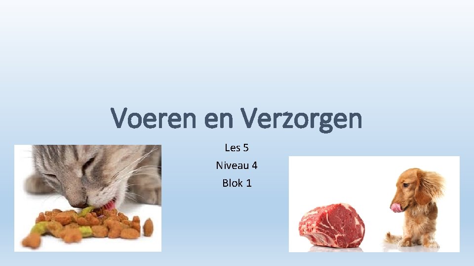 Voeren en Verzorgen Les 5 Niveau 4 Blok 1 