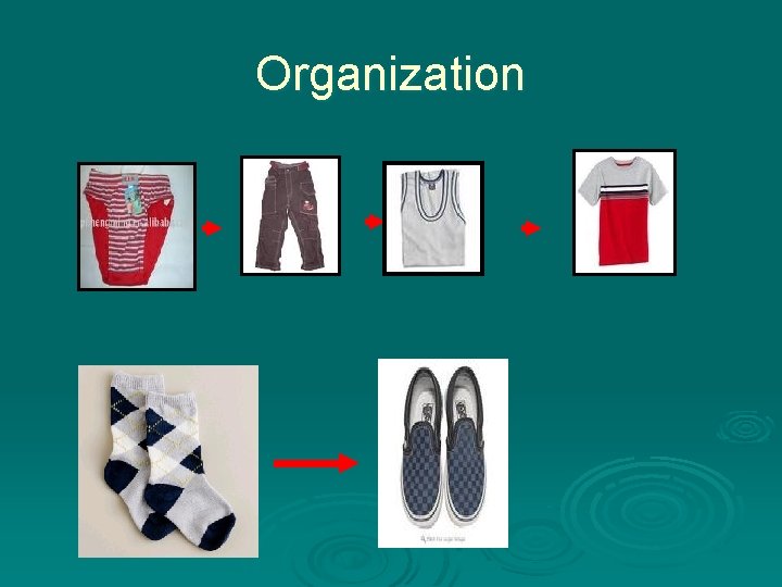 Organization 