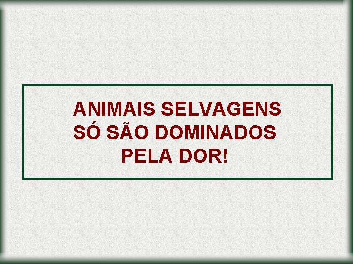 ANIMAIS SELVAGENS SÓ SÃO DOMINADOS PELA DOR! 