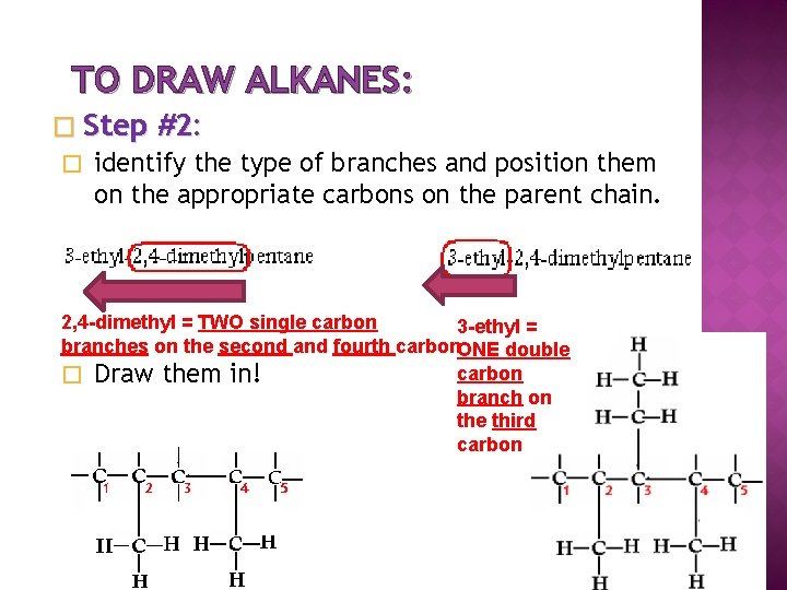 TO DRAW ALKANES: � Step #2: � identify the type of branches and position