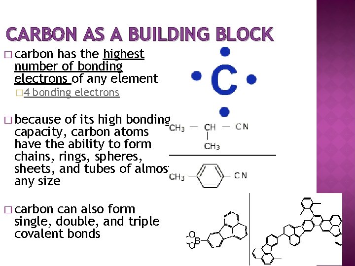 CARBON AS A BUILDING BLOCK � carbon has the highest number of bonding electrons