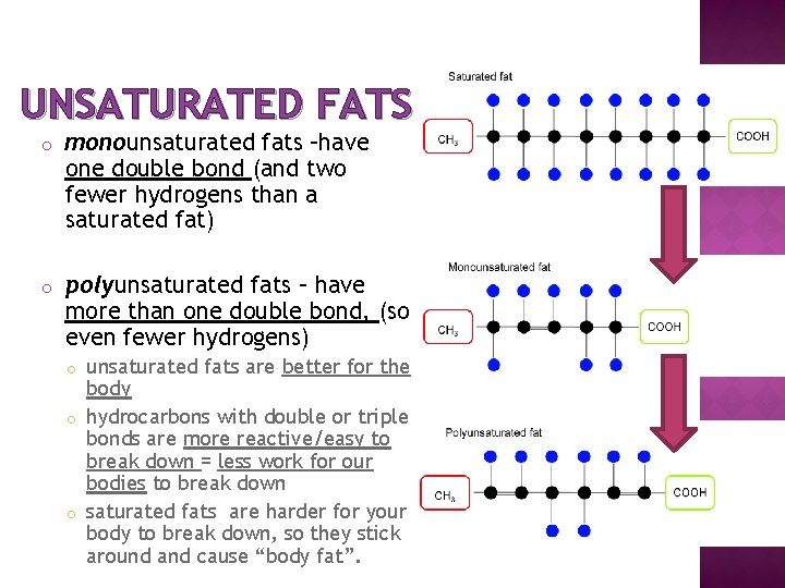 UNSATURATED FATS o monounsaturated fats –have one double bond (and two fewer hydrogens than