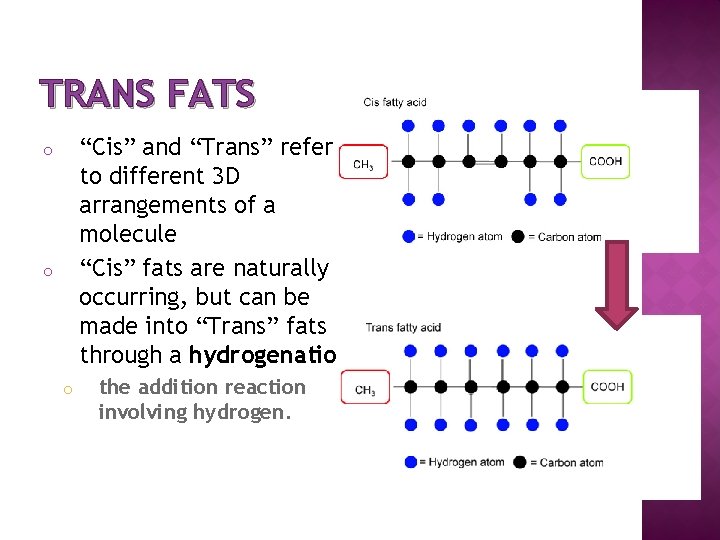 TRANS FATS “Cis” and “Trans” refer to different 3 D arrangements of a molecule