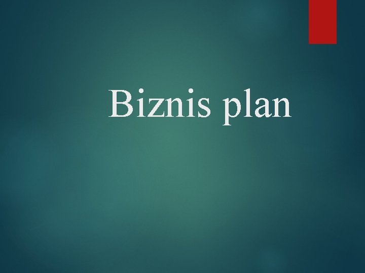 Biznis plan 