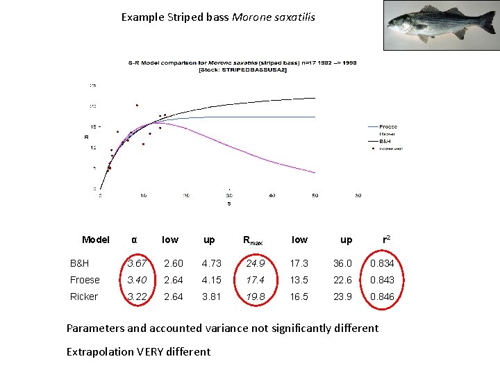 Example Striped bass Morone saxatilis Model α low up Rmax low up r 2