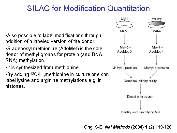 SILAC for Modification Quantitation • Also possible to label modifications through addition of a SILAC for Modification Quantitation • Also possible to label modifications through addition of a
