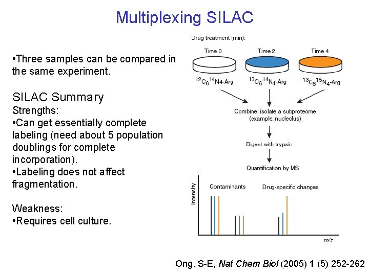 Multiplexing SILAC • Three samples can be compared in the same experiment. SILAC Summary Multiplexing SILAC • Three samples can be compared in the same experiment. SILAC Summary