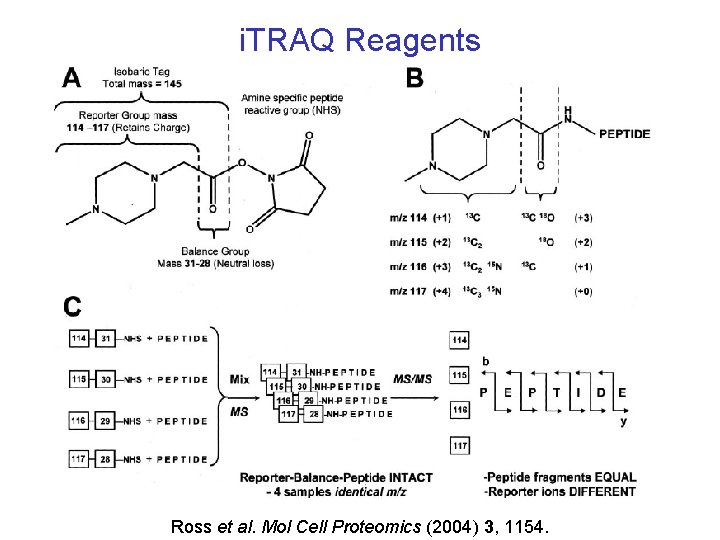 i. TRAQ Reagents Ross et al. Mol Cell Proteomics (2004) 3, 1154. i. TRAQ Reagents Ross et al. Mol Cell Proteomics (2004) 3, 1154.