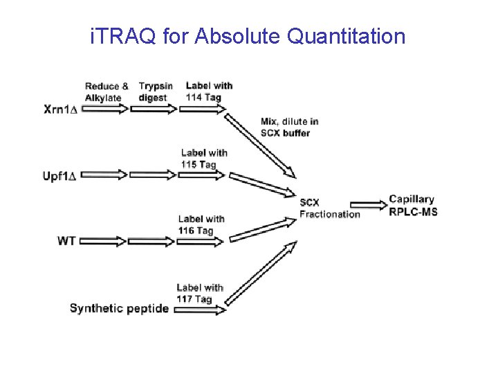 i. TRAQ for Absolute Quantitation i. TRAQ for Absolute Quantitation
