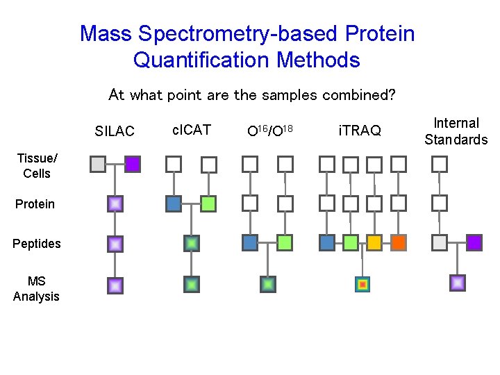 Mass Spectrometry-based Protein Quantification Methods At what point are the samples combined? SILAC Tissue/ Mass Spectrometry-based Protein Quantification Methods At what point are the samples combined? SILAC Tissue/
