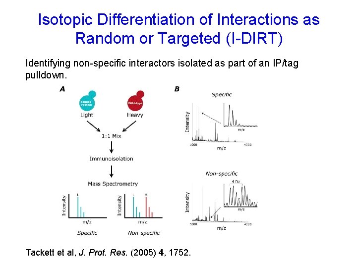 Isotopic Differentiation of Interactions as Random or Targeted (I-DIRT) Identifying non-specific interactors isolated as Isotopic Differentiation of Interactions as Random or Targeted (I-DIRT) Identifying non-specific interactors isolated as