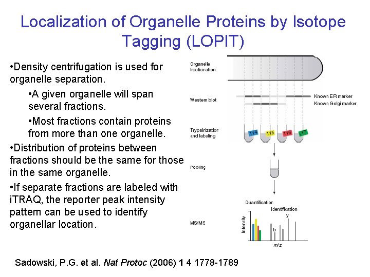 Localization of Organelle Proteins by Isotope Tagging (LOPIT) • Density centrifugation is used for Localization of Organelle Proteins by Isotope Tagging (LOPIT) • Density centrifugation is used for