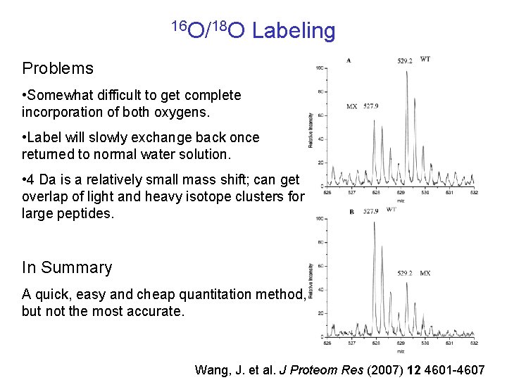 16 O/18 O Labeling Problems • Somewhat difficult to get complete incorporation of both 16 O/18 O Labeling Problems • Somewhat difficult to get complete incorporation of both