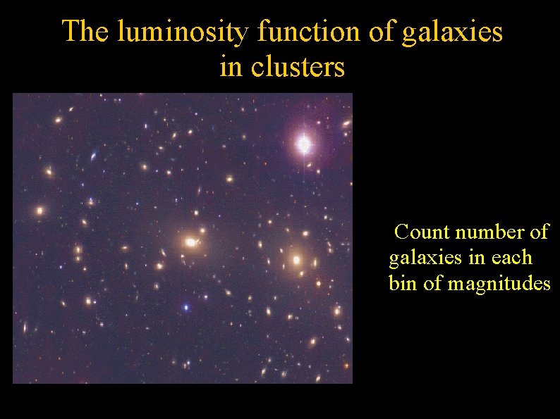 The luminosity function of galaxies in clusters ● Count number of galaxies in each