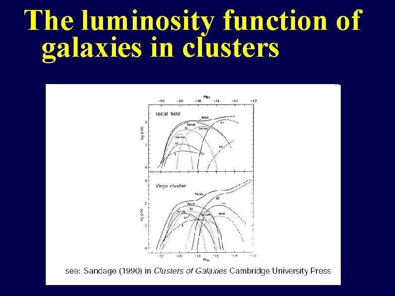 The luminosity function of galaxies in clusters 