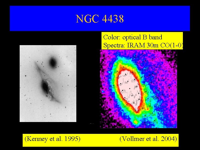 NGC 4438 Color: optical B band Spectra: IRAM 30 m CO(1 -0) (Kenney et