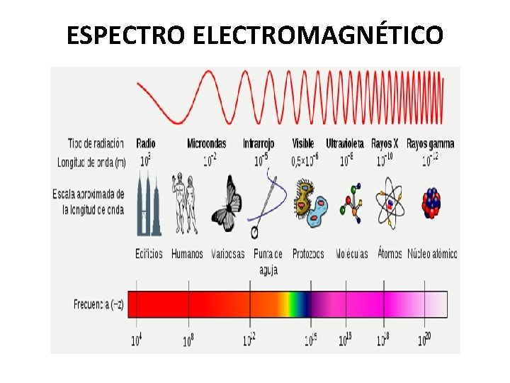 ESPECTRO ELECTROMAGNÉTICO 