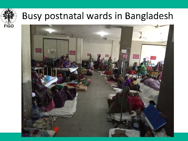 Busy postnatal wards in Bangladesh 