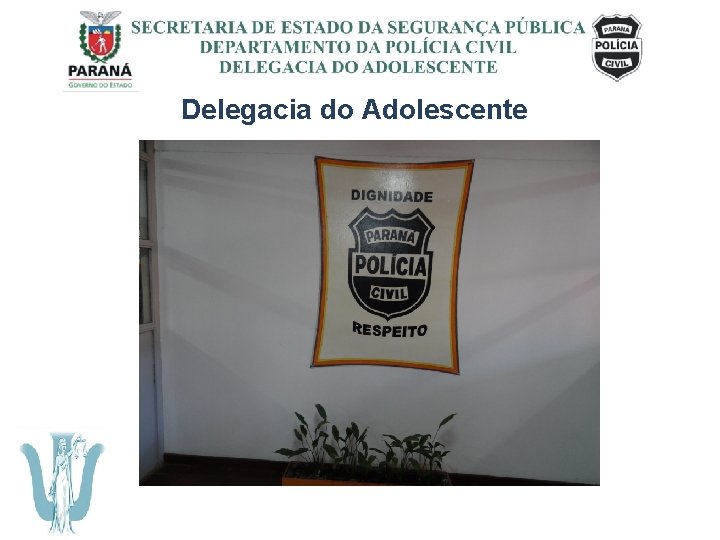 SECRETARIA DE ESTADO DA SEGURANÇA PÚBLICA DEPARTAMENTO DA POLÍCIA CIVIL DELEGACIA DO ADOLESCENTE Delegacia