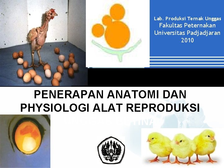 Lab. Produksi Ternak Unggas Fakultas Peternakan Universitas Padjadjaran 2010 PENERAPAN ANATOMI DAN PHYSIOLOGI ALAT