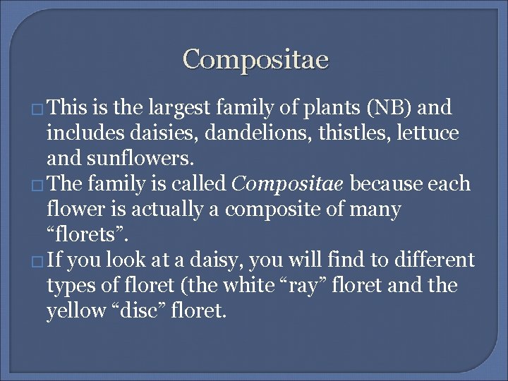 Compositae � This is the largest family of plants (NB) and includes daisies, dandelions,