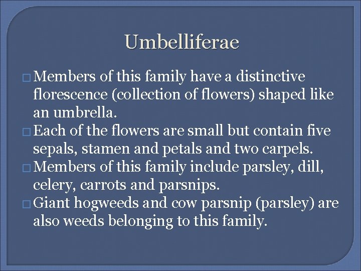 Umbelliferae � Members of this family have a distinctive florescence (collection of flowers) shaped