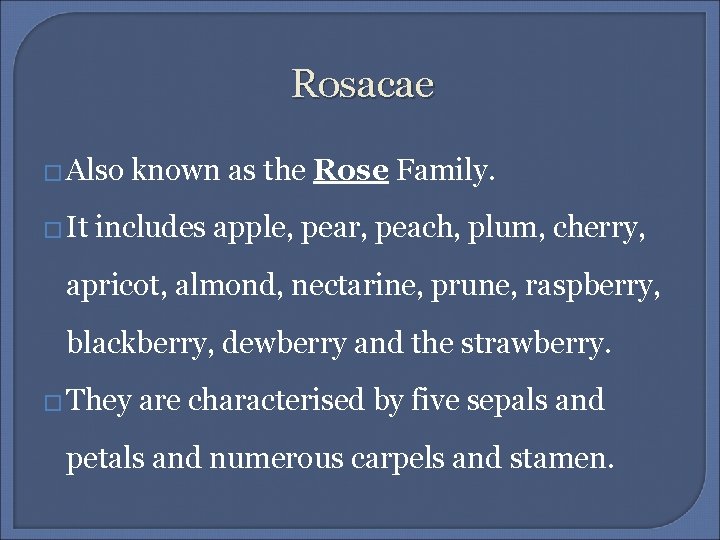 Rosacae � Also � It known as the Rose Family. includes apple, pear, peach,