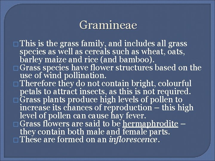 Gramineae � This is the grass family, and includes all grass species as well