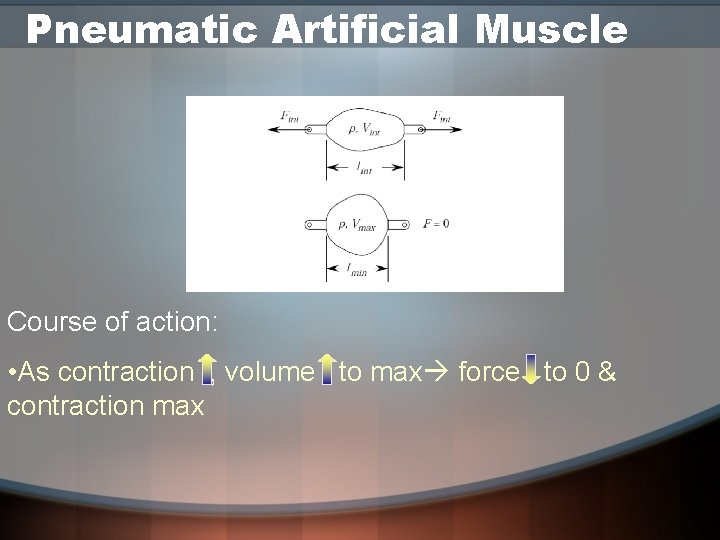 Pneumatic Artificial Muscle Course of action: • As contraction , volume to max force