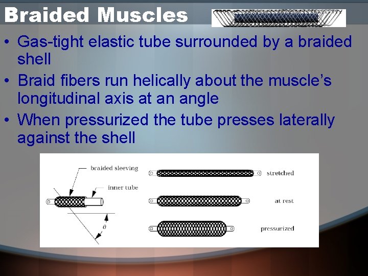 Braided Muscles • Gas-tight elastic tube surrounded by a braided shell • Braid fibers