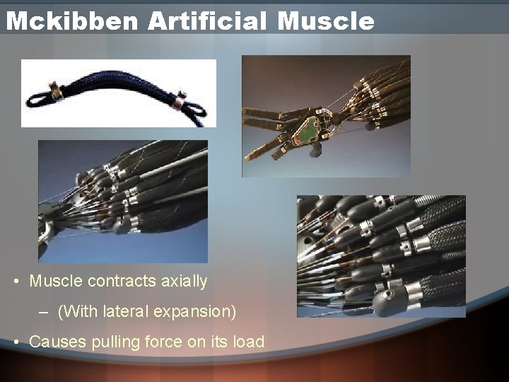 Mckibben Artificial Muscle • Muscle contracts axially – (With lateral expansion) • Causes pulling