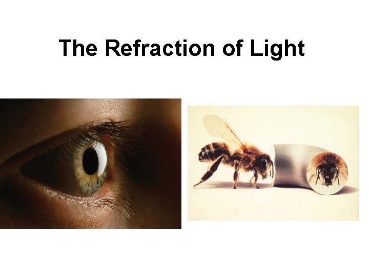 The Refraction of Light 