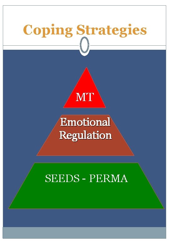 Coping Strategies MT Emotional Regulation SEEDS - PERMA 
