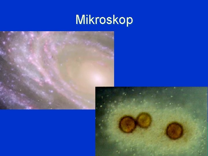 Mikroskop 