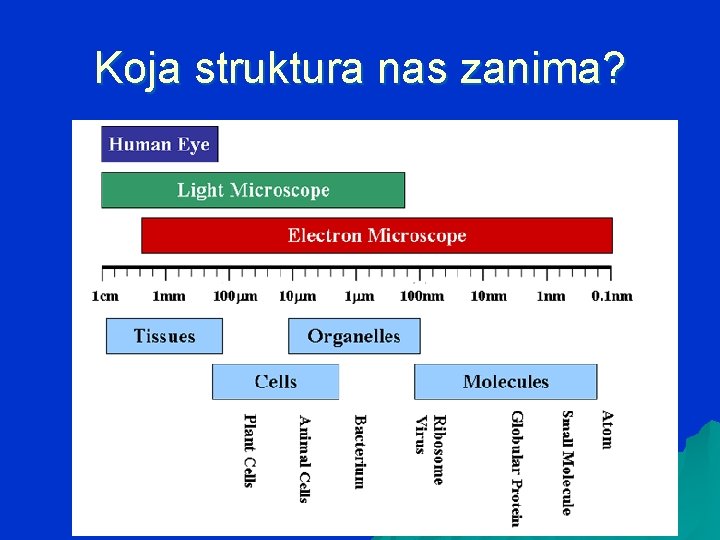 Koja struktura nas zanima? 