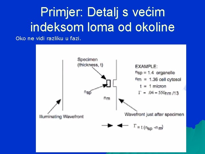 Primjer: Detalj s većim indeksom loma od okoline Oko ne vidi razliku u fazi.