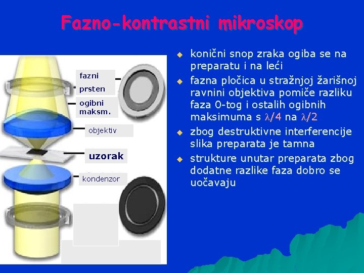 Fazno-kontrastni mikroskop u fazni prsten u ogibni maksm. objektiv u uzorak u kondenzor konični