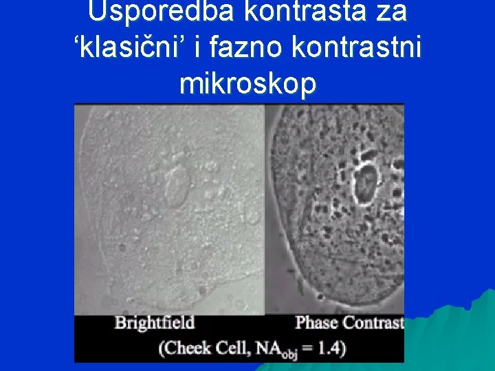 Usporedba kontrasta za ‘klasični’ i fazno kontrastni mikroskop 