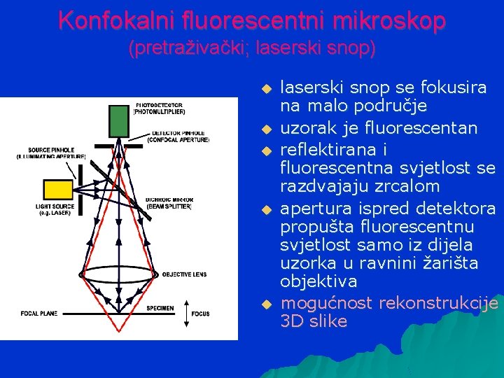 Konfokalni fluorescentni mikroskop (pretraživački; laserski snop) u u u laserski snop se fokusira na