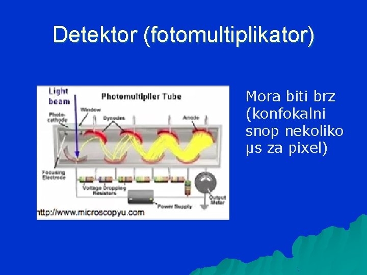 Detektor (fotomultiplikator) Mora biti brz (konfokalni snop nekoliko µs za pixel) 