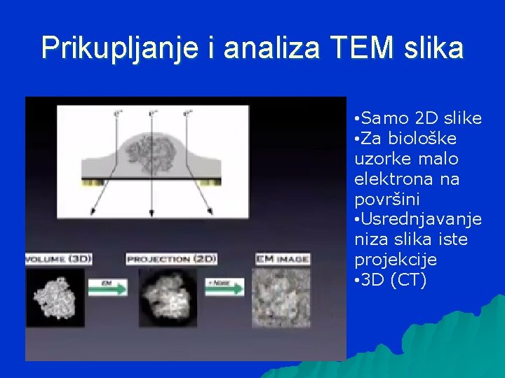 Prikupljanje i analiza TEM slika • Samo 2 D slike • Za biološke uzorke