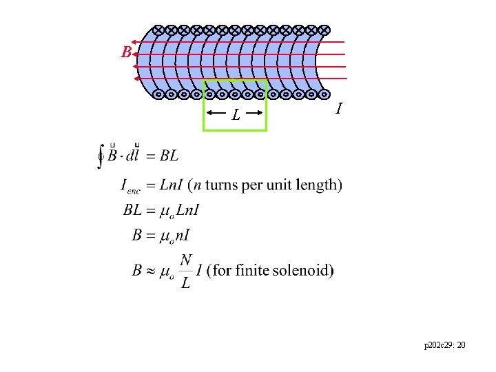 B L I p 202 c 29: 20 