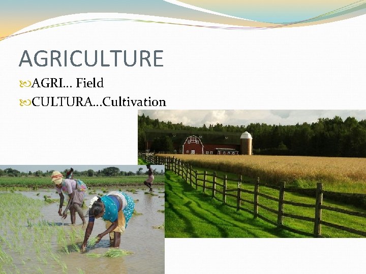 AGRICULTURE AGRI… Field CULTURA…Cultivation 