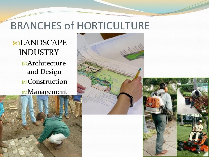 BRANCHES of HORTICULTURE LANDSCAPE INDUSTRY Architecture and Design Construction Management 
