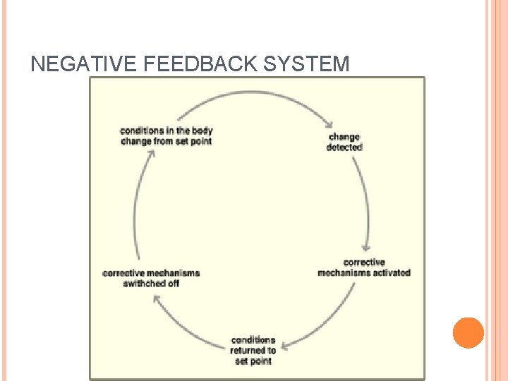 NEGATIVE FEEDBACK SYSTEM 