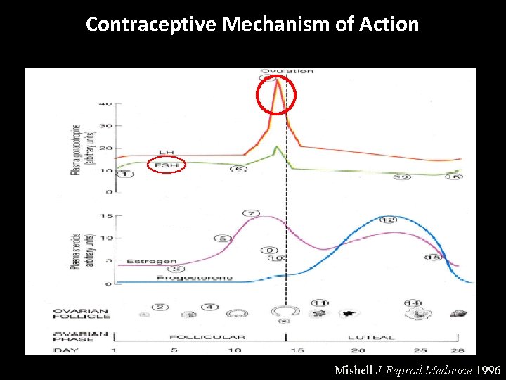 Contraceptive Mechanism of Action Mishell J Reprod Medicine 1996 